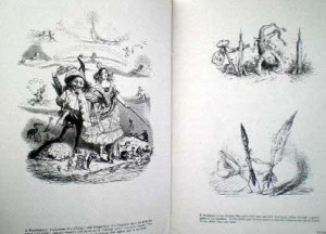 洋書 Bizarreries and Fantasies of Grandville Bizarreries and Fantasies of Grandville 洋書
