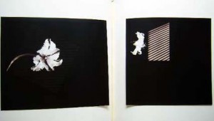 2009082300537 2009082300537