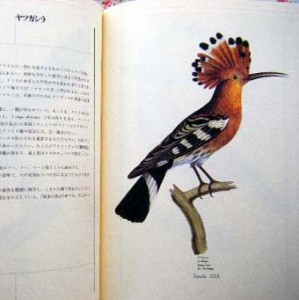 美術 古本 美術 古本
