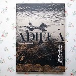 アート写真集 高価買取