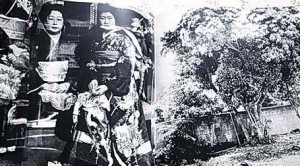 2010022000193 2010022000193