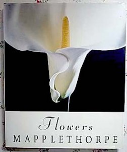 2010100800061 2010100800061