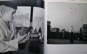 アート デザインの古本 アート デザインの古本