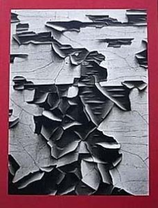 Aaron Siskind 100 アーロン・シスキンド写真集| 古本買取セシルライブラリ