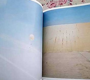 460x345-2013040800130