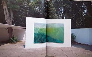 460x345-2013041300185