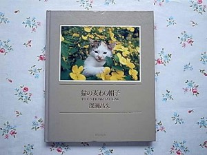 480x360-2010022000174-1