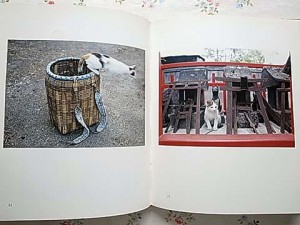 480x360-2010022000175