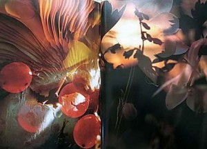 480x360-2011020600370 480x360-2011020600370